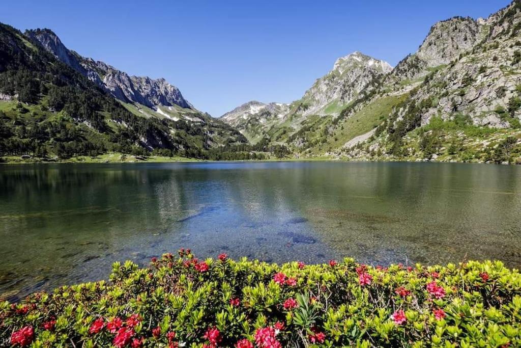 Gite La Grangette De Pauline Меркюс-Гаррабет Экстерьер фото